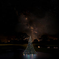 Fairybell Premium | All Surface | 2 metros | 256 luces LED | Luminous Switch |