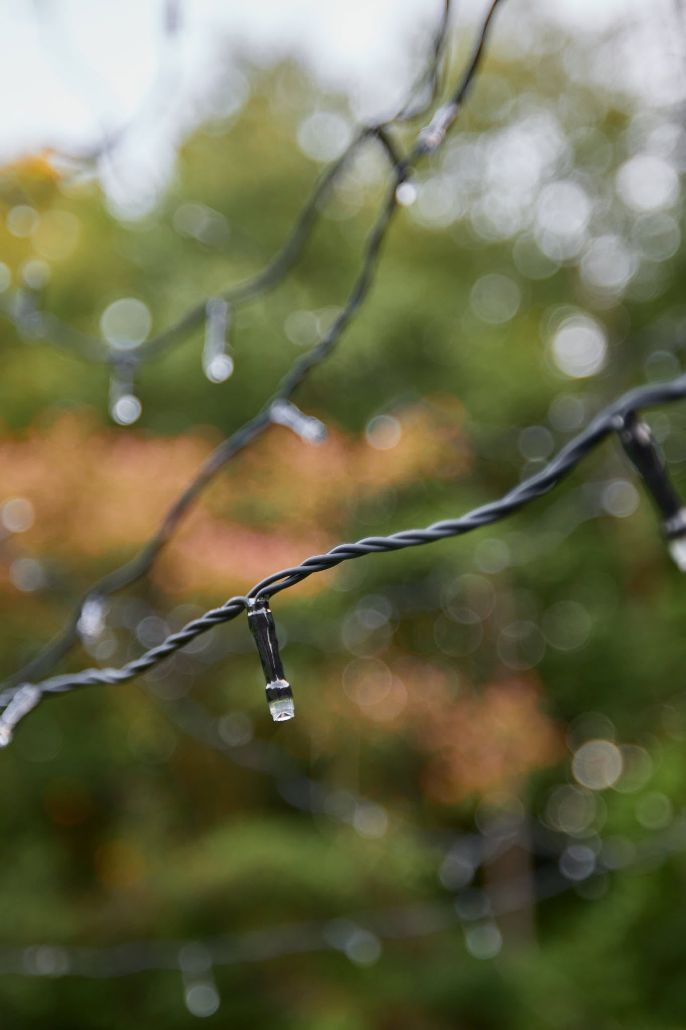 Fairybell | 25ft | 1,500 LED lights | Twinkle