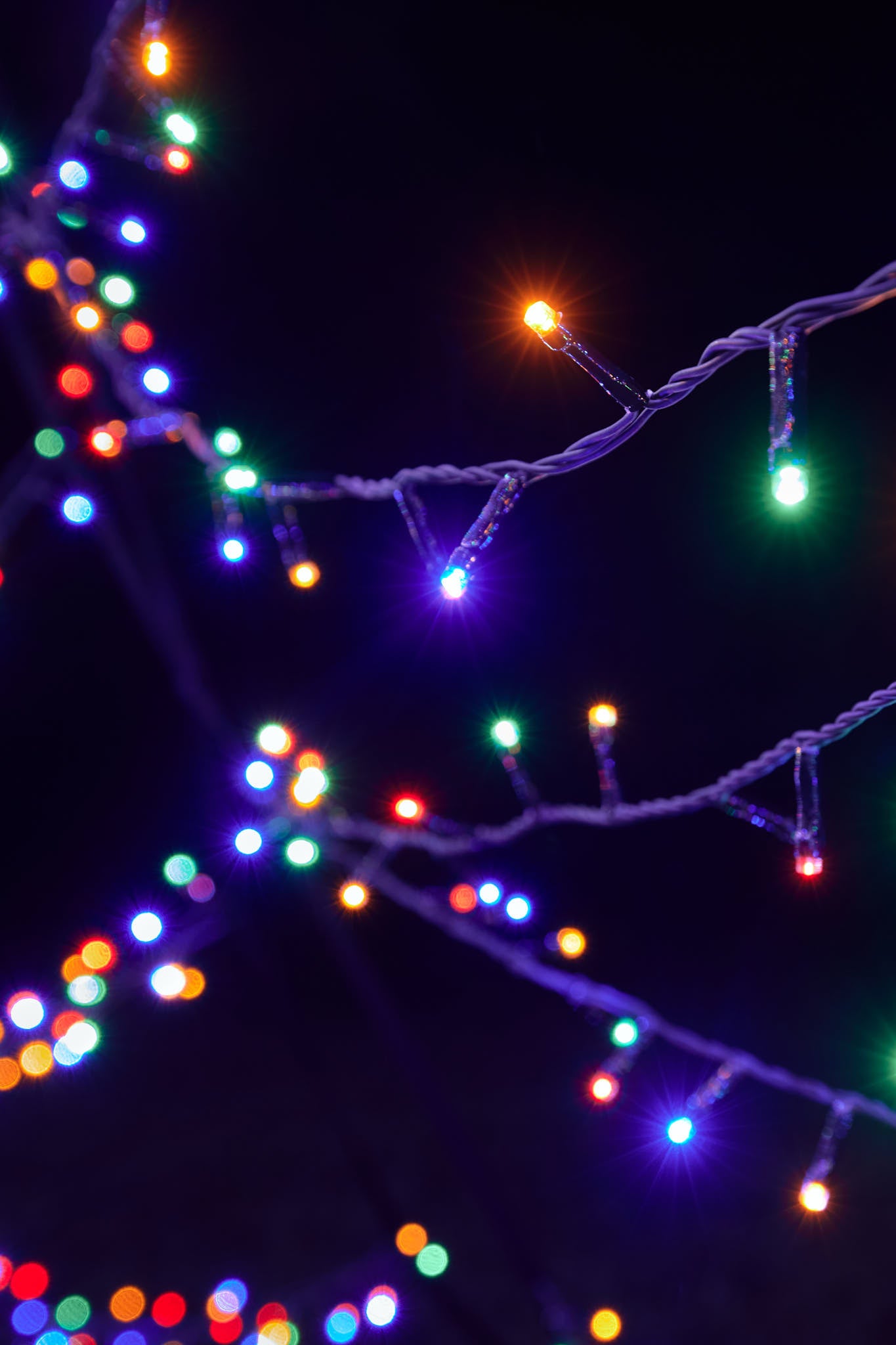 Fairybell Luminous Switch | 26ft | 3000 LED lights