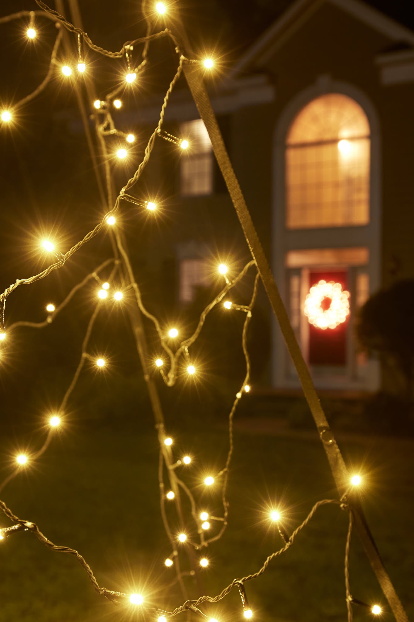 Fairybell | 33ft | 8,000 LED lights | Warm white