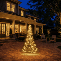 Fairybell Premium | All Surface | 2 metros | 256 luces LED | Luminous Switch |