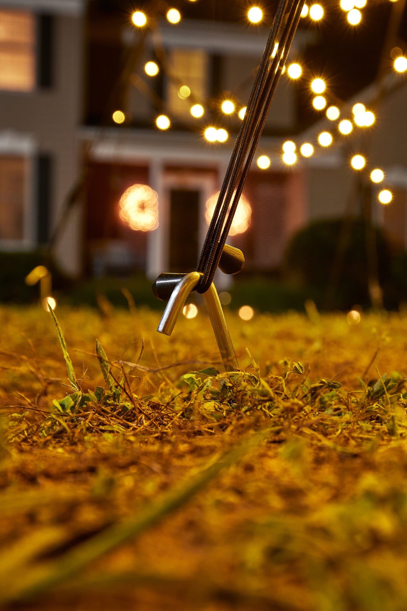 Fairybell | 25ft | 1,500 LED lights | Twinkle